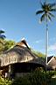 HoneyMoon 175.jpg